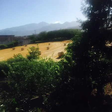 Casamonaco *